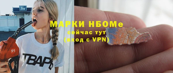 хмурый Алзамай