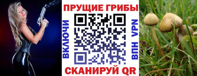 Псилоцибиновые грибы GOLDEN TEACHER hydra сайт Димитровград хочу